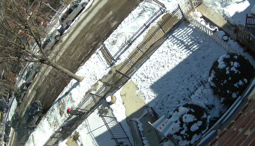 Reolink Camera Two_01_Reolink Home Hub One_20260129124455.jpg